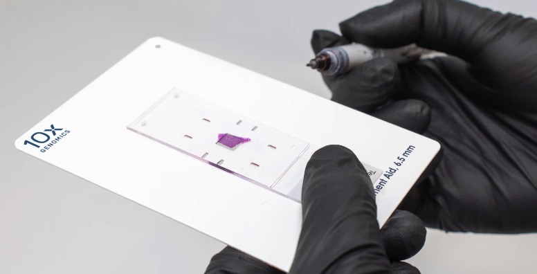 Using the Visium CytAssist Alignment Aid, 6.5 mm video