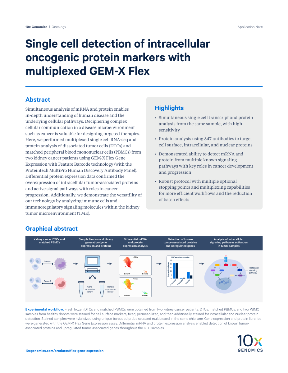 Single cell detection of intracellular oncogenic protein markers with multiplexed GEM-X Flex
