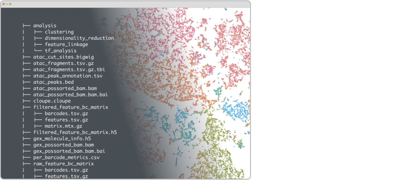 Cell Ranger ARC image