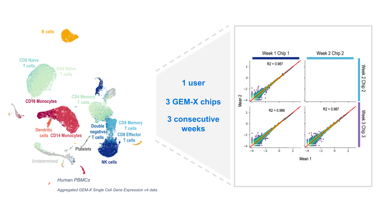 Figure 3. Improved GEM-X microfluidic chips have high inter- and intra-chip reproducibility. To evaluate reproducibility across multiple channels and chips, a single user loaded a suspension of cryopreserved human PBMCs across all eight channels of a GEM-X chip and proceeded through the remaining workflow steps. This experiment was then repeated each week for a total of three weeks. The aggregated overlay of the data (n= 24 channels, 26,191 cells) is shown on the left with all major immune cell populations identified. Clustering and cell-type populations are highly concordant across chip channels and experimental weeks, underscoring the high inter- and intra-chip reproducibility of our microfluidic technology and assays, further evidenced by high UMI correlation scores achieved across the aggregated data for each of the three weeks of this experiment. Similar results observed with 5’ v3 assay (data not shown).