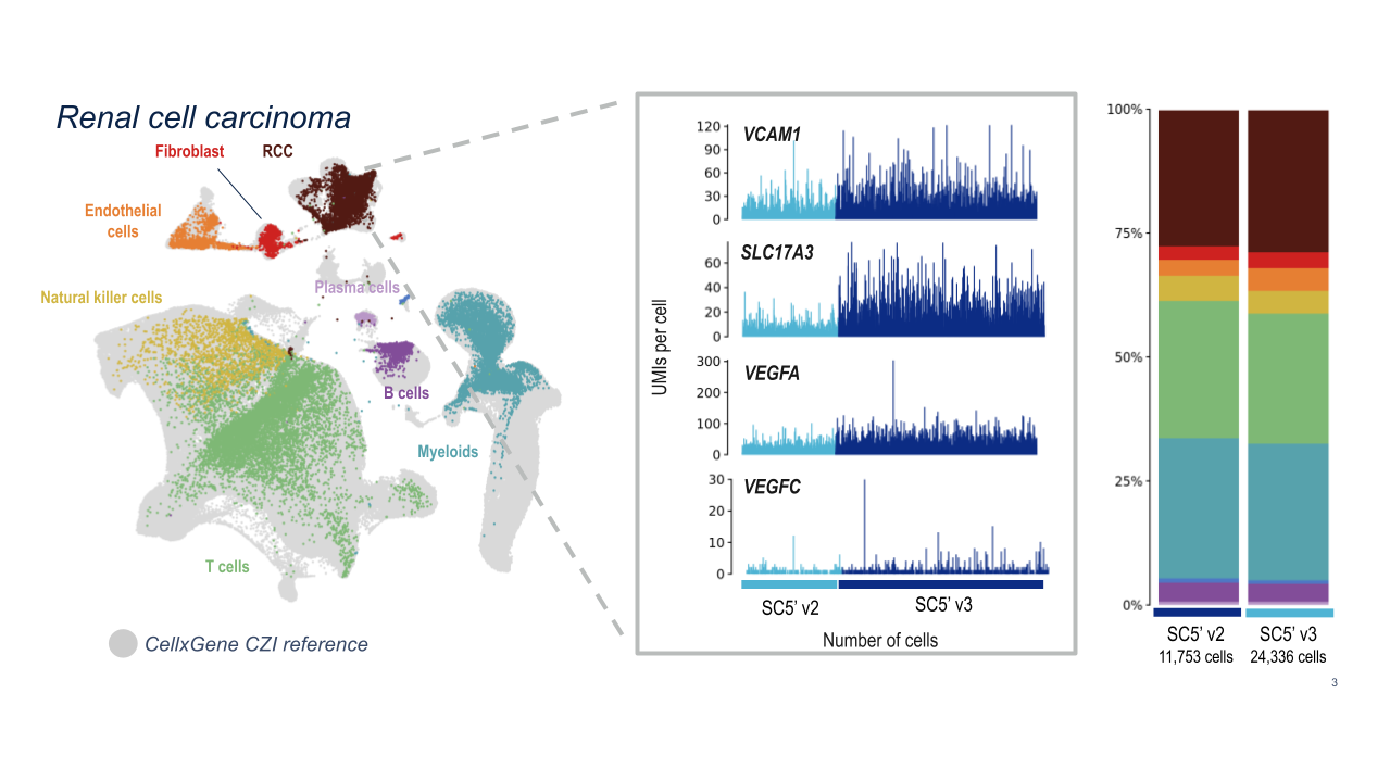 Figure 8. GEM-X Single Cell Immune Profiling v3 (5’ v3) allows you to maximize biological insights from clinical samples. Renal cell carcinoma dissociated tumor cells were loaded separately onto a Next GEM Chip K (10,000 cells) and a GEM-X 5' chip (20,000 cells), and then processed on a Chromium X instrument followed by library preparation, sequencing, and data analysis.The aggregated UMAP plot on the left highlights the major cell-type populations in this renal cell carcinoma sample. Clusters were assigned cell identities using key marker genes from a CellxGene CZI reference. GEM-X provides higher sensitivity for genes that matter and may play critical roles in disease, including key markers of renal cell carcinoma (VCAM1, SLA17A3, VEGFA AND VEGFA). GEM-X detects higher signals in these four markers across the majority of cells. Similar percentages and relative proportions of known cellular populations were obtained between Single Cell 5’ v2 and Single Cell 5’ v3.