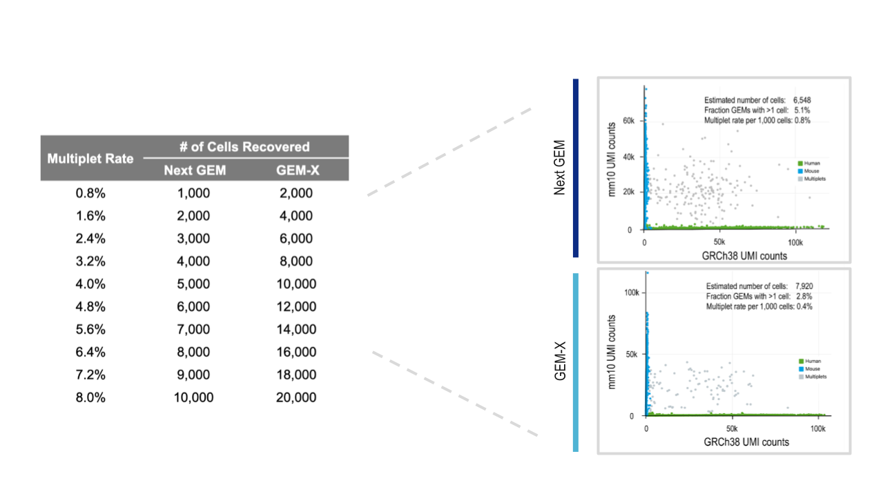 Figure 9. Achieve higher cell throughput with fewer multiplets and at lower cost with GEM-X technology. The table on the left shows empirically derived cell loading and multiplet rate comparisons for our Next GEM and GEM-X technologies. GEM-X enables routine processing of up to 20,000 cells per lane, with a 2-fold reduction in the multiplet rate. Experimentally derived multiplet rate data from human HEK293T and mouse NIH/3T3 cells that were mixed (1:1) and profiled using Next GEM and GEM-X assays are shown on the right.