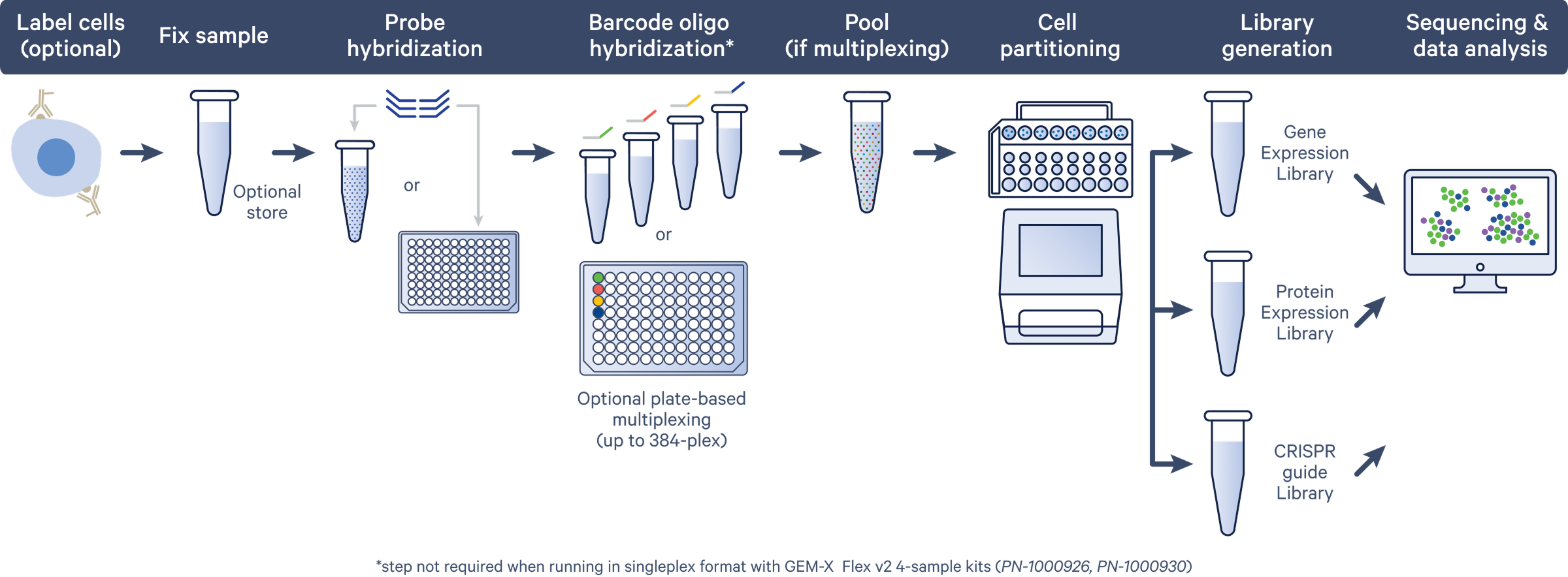 Workflow overview image