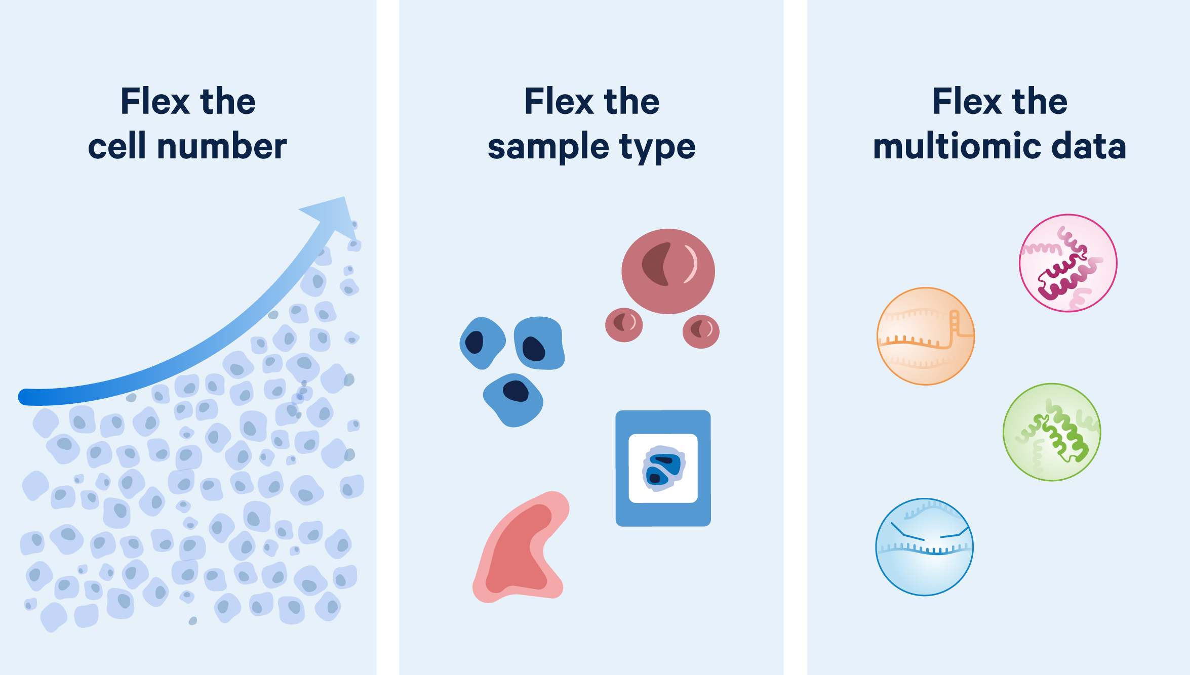 Ultimate workflow flexibility image