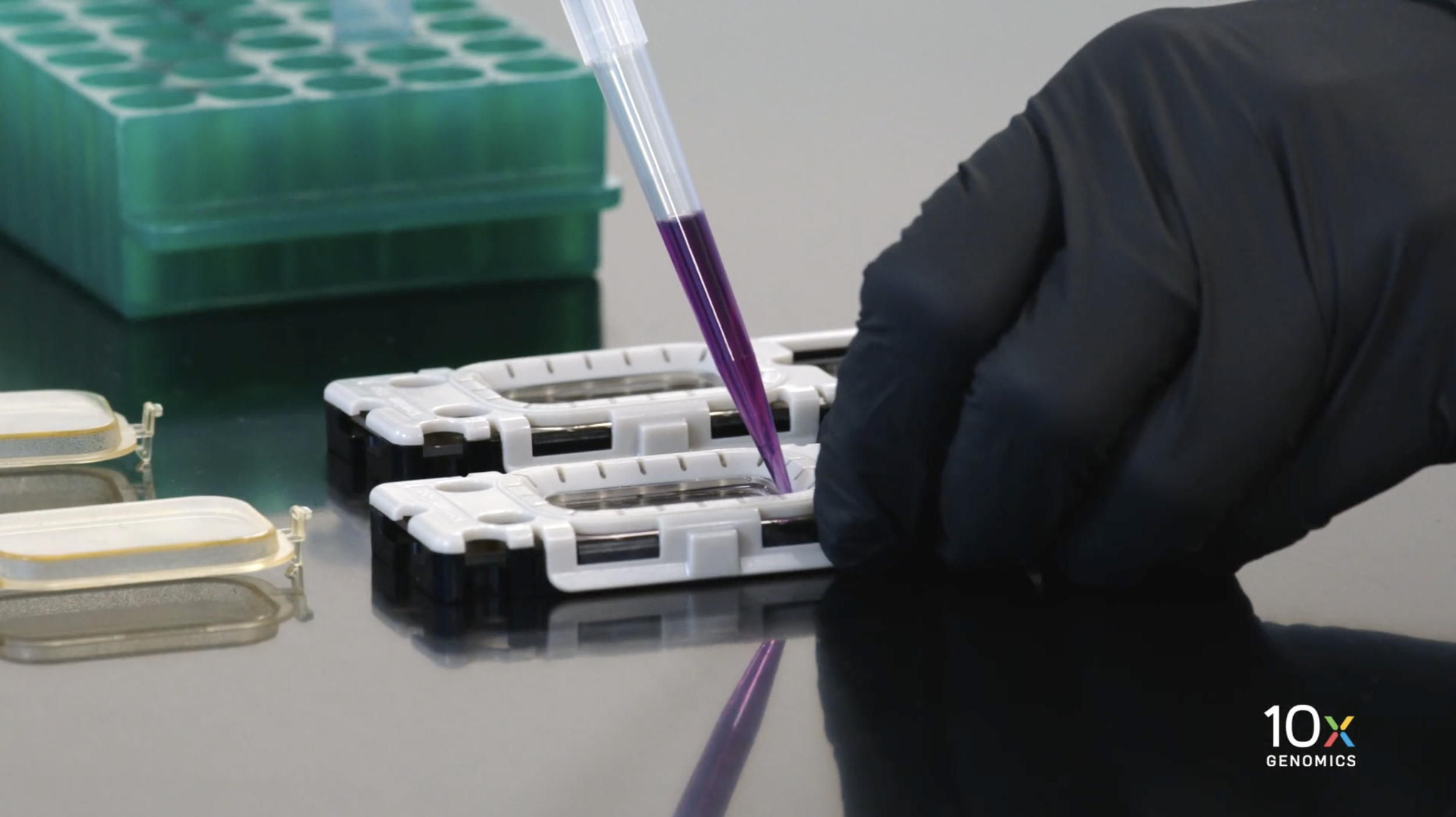 Xenium In Situ Assay Protocols - Best Practices video
