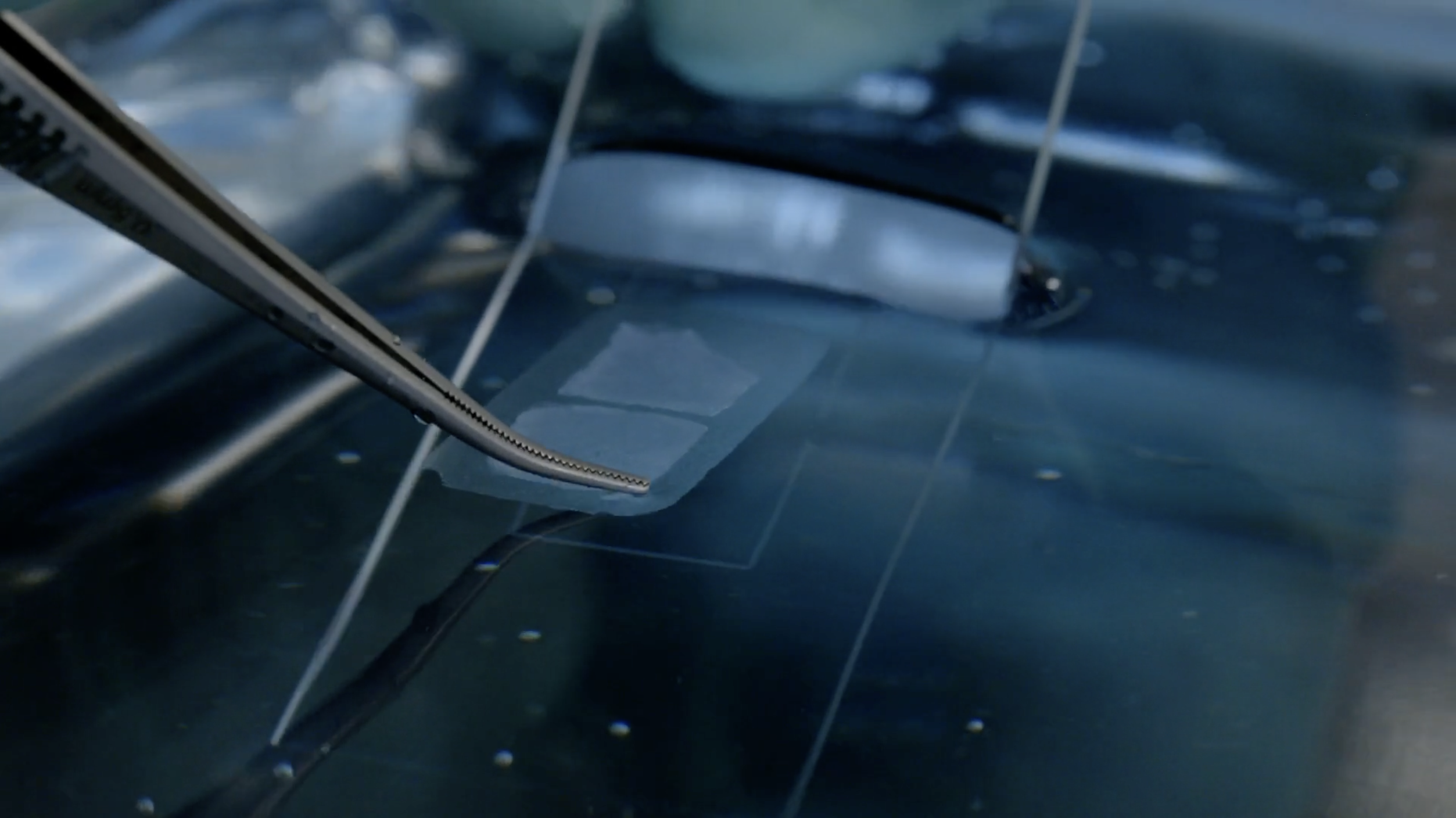 Xenium In Situ Tissue Preparation video