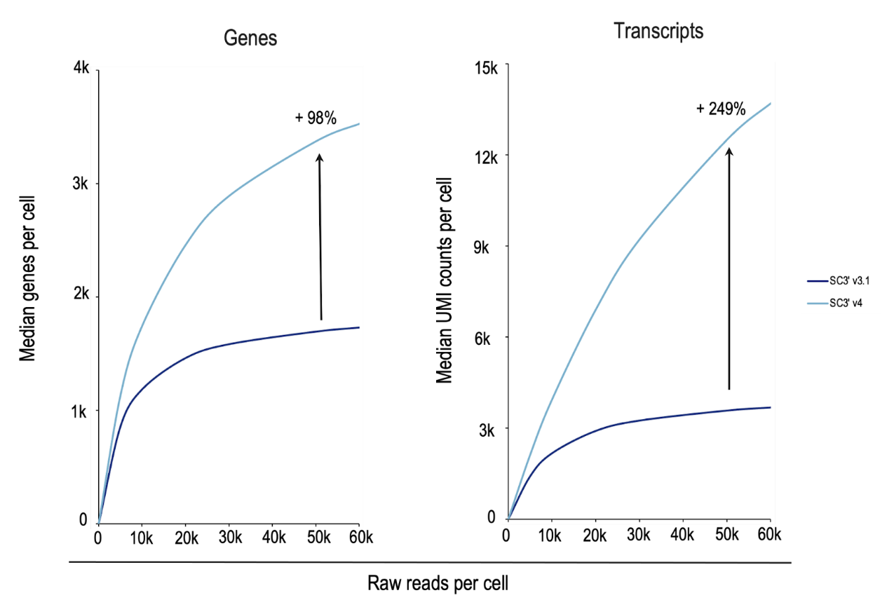 Figure 6. GEM-X technology substantially improves gene and transcript sensitivity. Nuclei were isolated from a section of an adult CD-1 mouse brain using the Chromium Nuclei Isolation Kit and enriched to remove debris. Nuclei were loaded separately onto a Next GEM Chip G (5,000 nuclei) and a GEM-X 3' chip (5,000 nuclei) and were processed on the Chromium X followed by library preparation, sequencing, and data analysis.