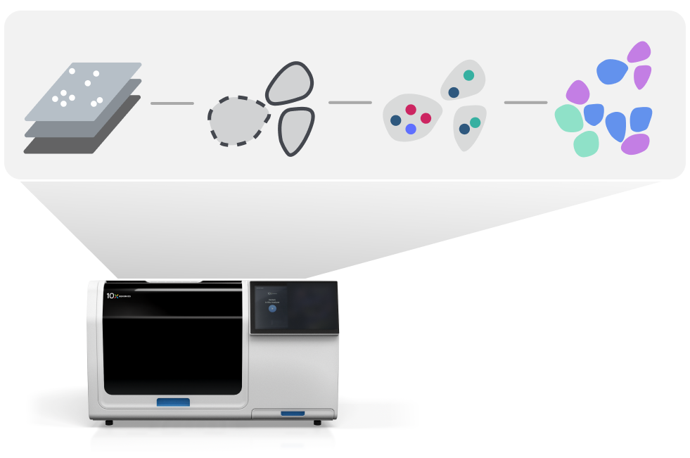 Xenium Onboard Analysis image